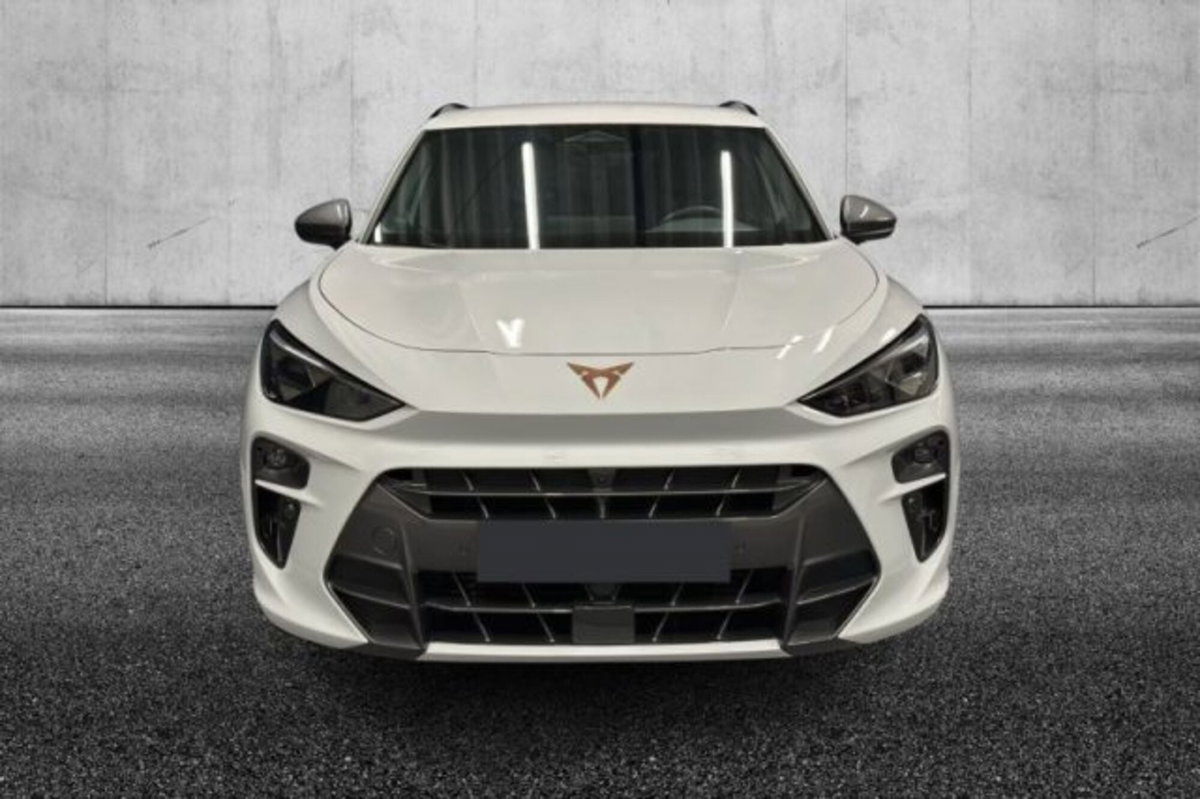 Cupra Terramar 1.5 hybrid 150cv dsg (7)