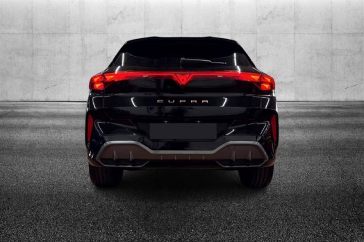 Cupra Terramar 2.0 tsi VZ 4drive 265cv dsg (5)