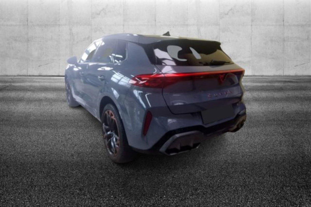 Cupra Terramar 2.0 tsi VZ 4drive 265cv dsg (4)