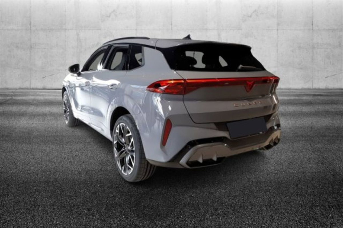 Cupra Terramar 2.0 tsi VZ 4drive 265cv dsg (3)