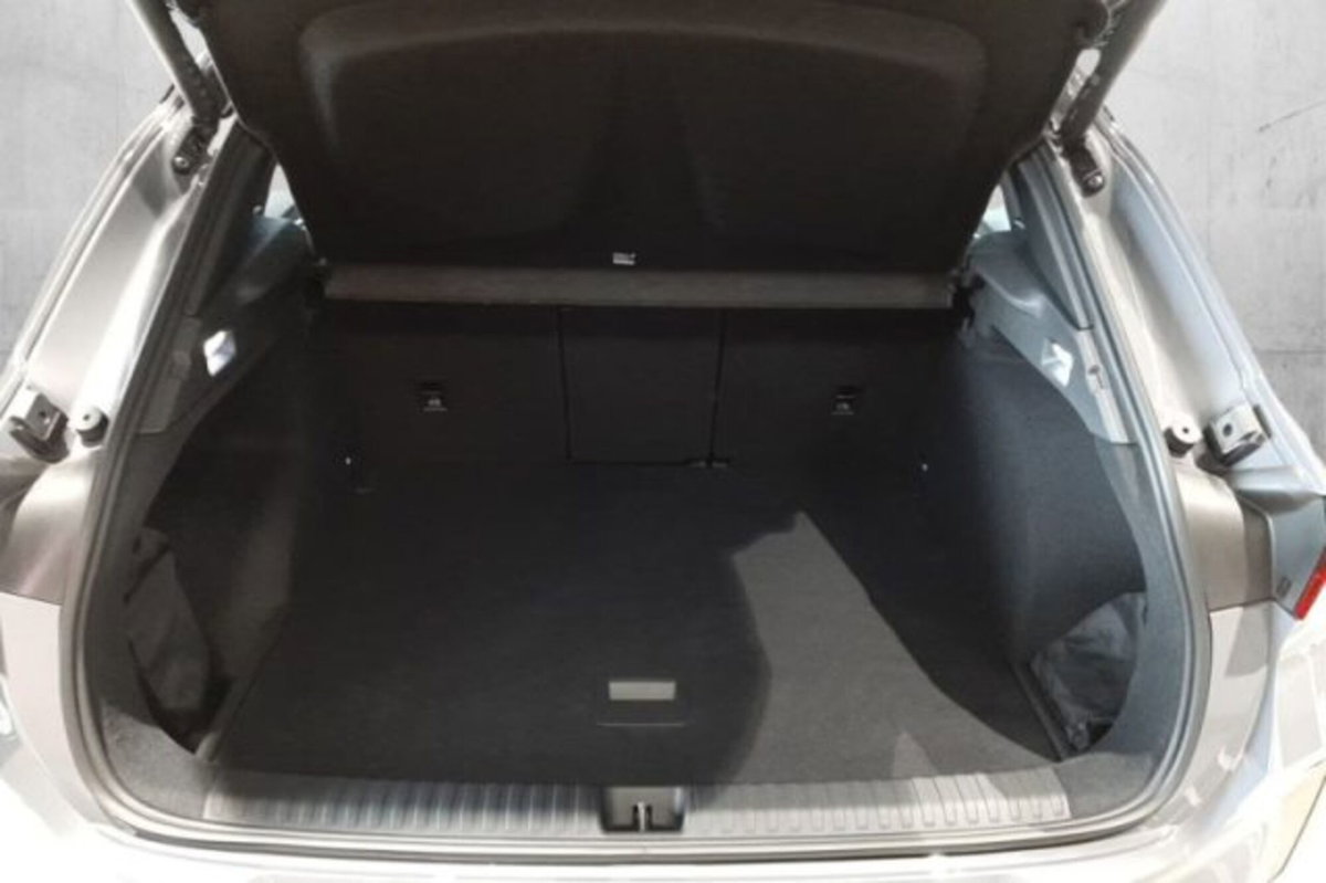 Cupra Terramar 2.0 tsi VZ 4drive 265cv dsg (8)