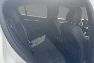 Alfa Romeo Stelvio 2.2 t Tributo Italiano Q4 210cv auto (8)