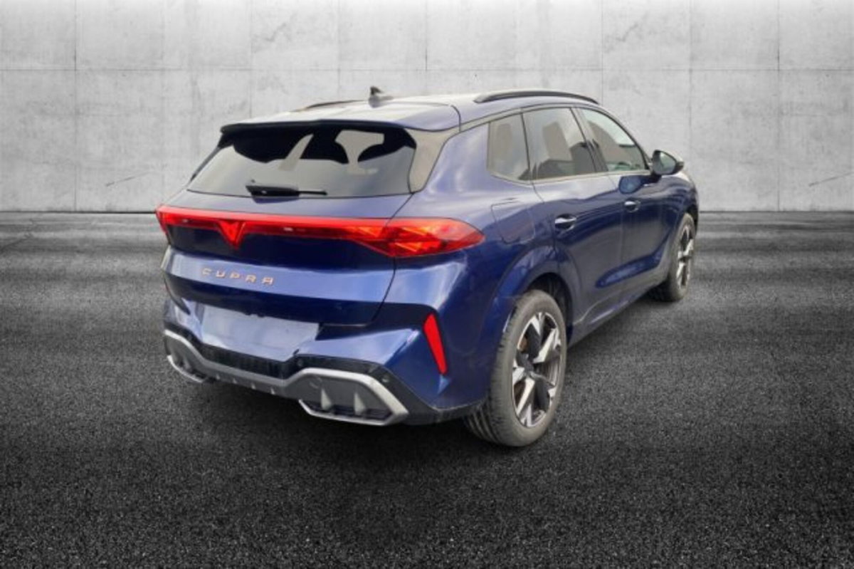 Cupra Terramar 1.5 hybrid 150cv dsg (2)