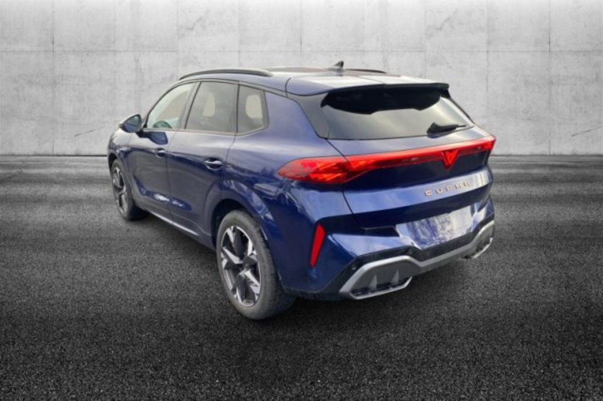 Cupra Terramar 1.5 hybrid 150cv dsg (3)