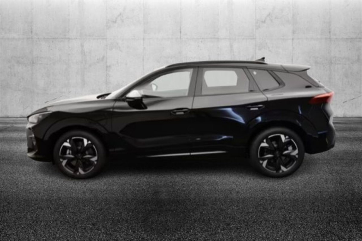 Cupra Terramar 1.5 e-hybrid 204cv dsg (5)