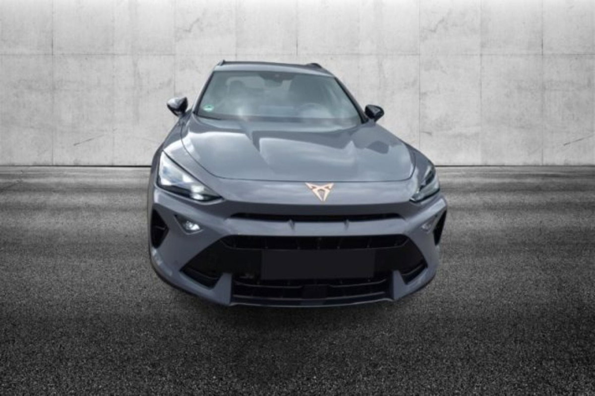 Cupra Formentor Formentor 2.0 TDI (4)