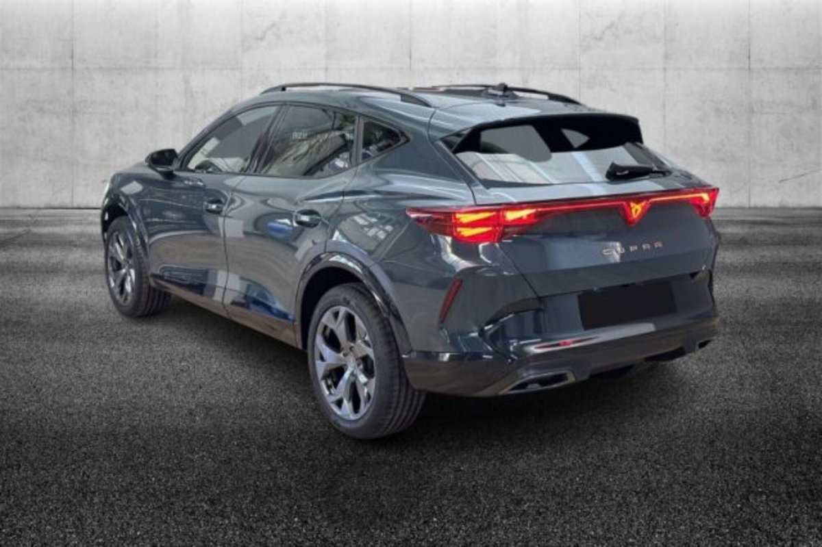 Cupra Formentor 1.5 hybrid 150cv dsg (4)