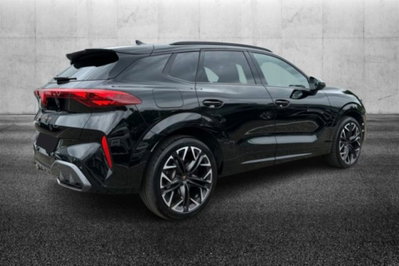 Cupra Terramar 2.0 tsi VZ 4drive 265cv dsg (3)