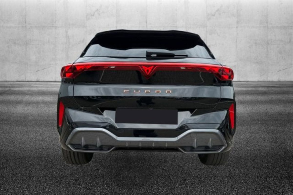 Cupra Terramar 2.0 tsi VZ 4drive 265cv dsg (5)