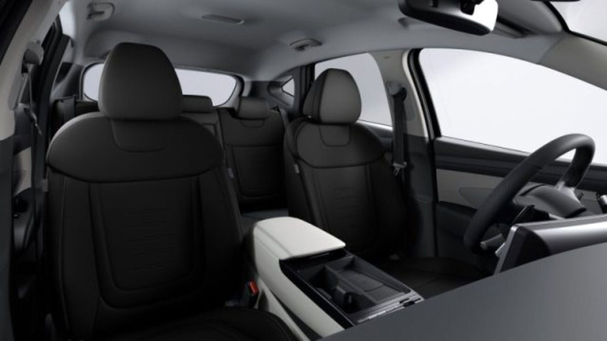 Hyundai Tucson 1.6 hev Business 4wd 239cv auto (7)