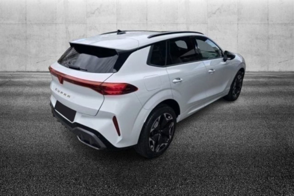 Cupra Terramar 2.0 tsi VZ 4drive 265cv dsg (3)