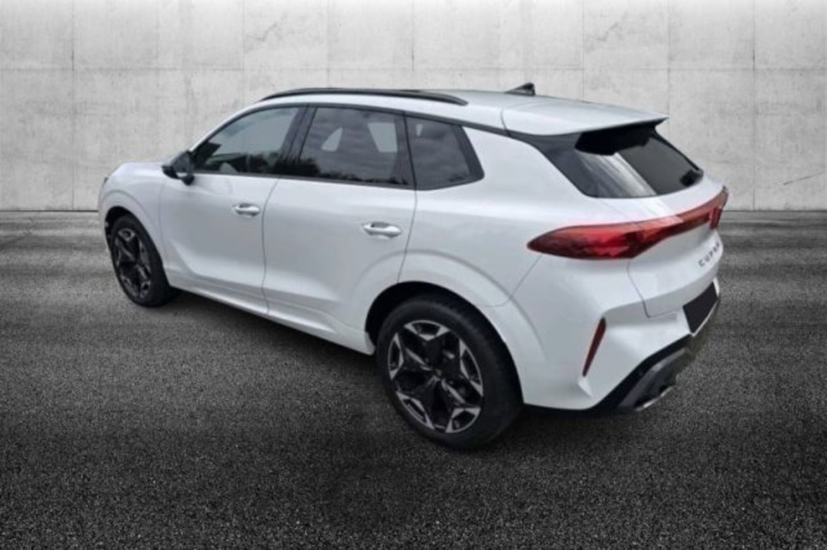 Cupra Terramar 2.0 tsi VZ 4drive 265cv dsg (4)