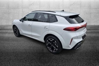 Cupra Terramar 2.0 tsi VZ 4drive 265cv dsg (4)