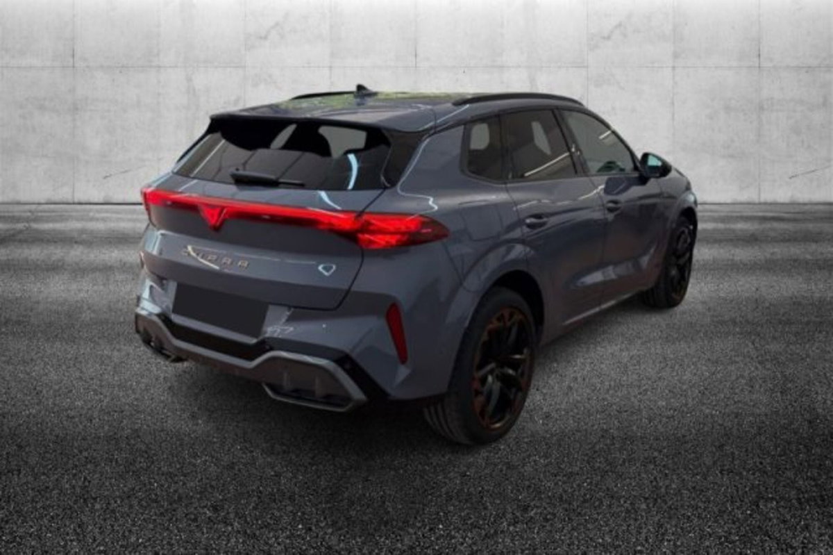 Cupra Terramar 2.0 tsi VZ 4drive 265cv dsg (3)