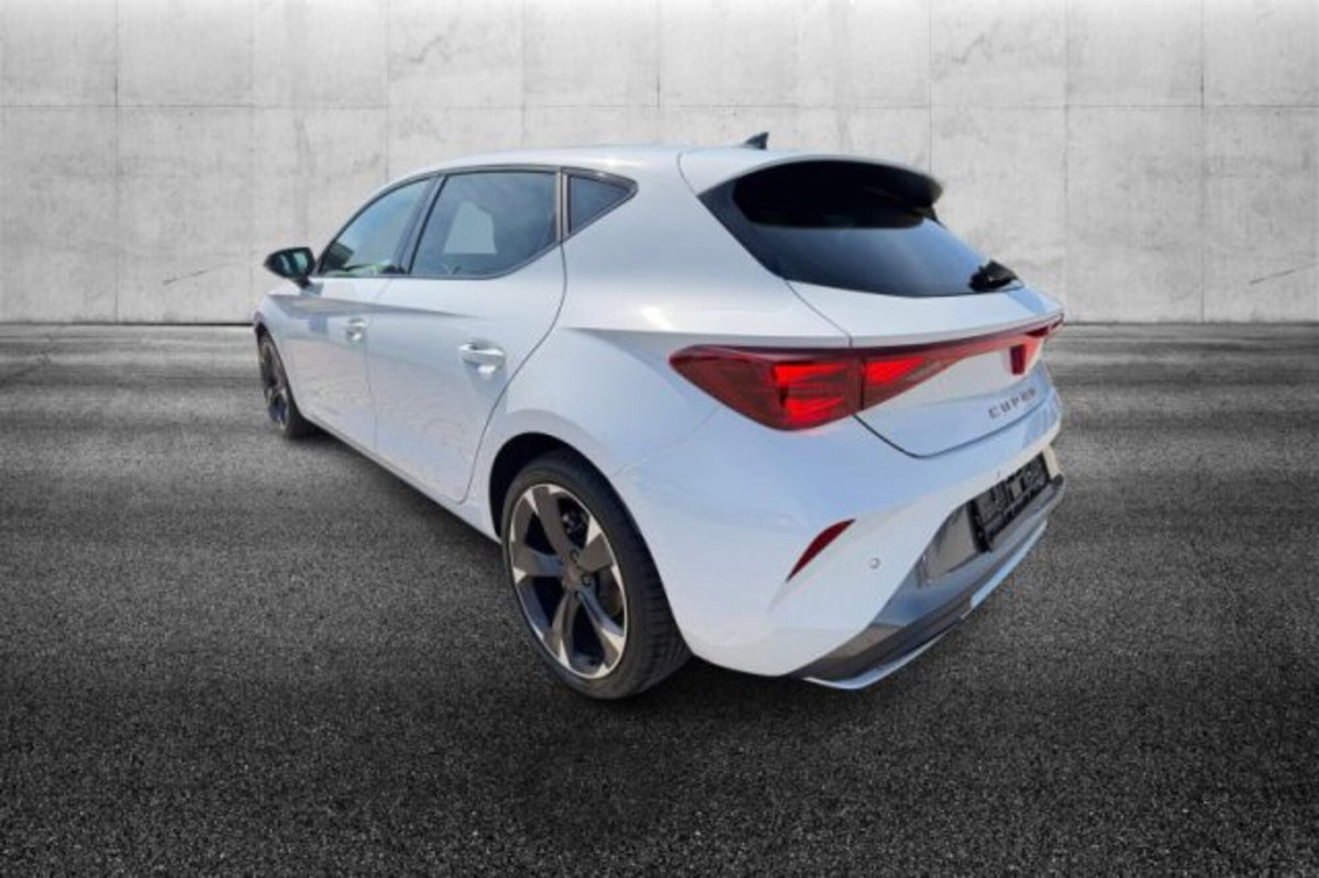 Cupra Leon Leon 2.0 tdi 150cv dsg (4)