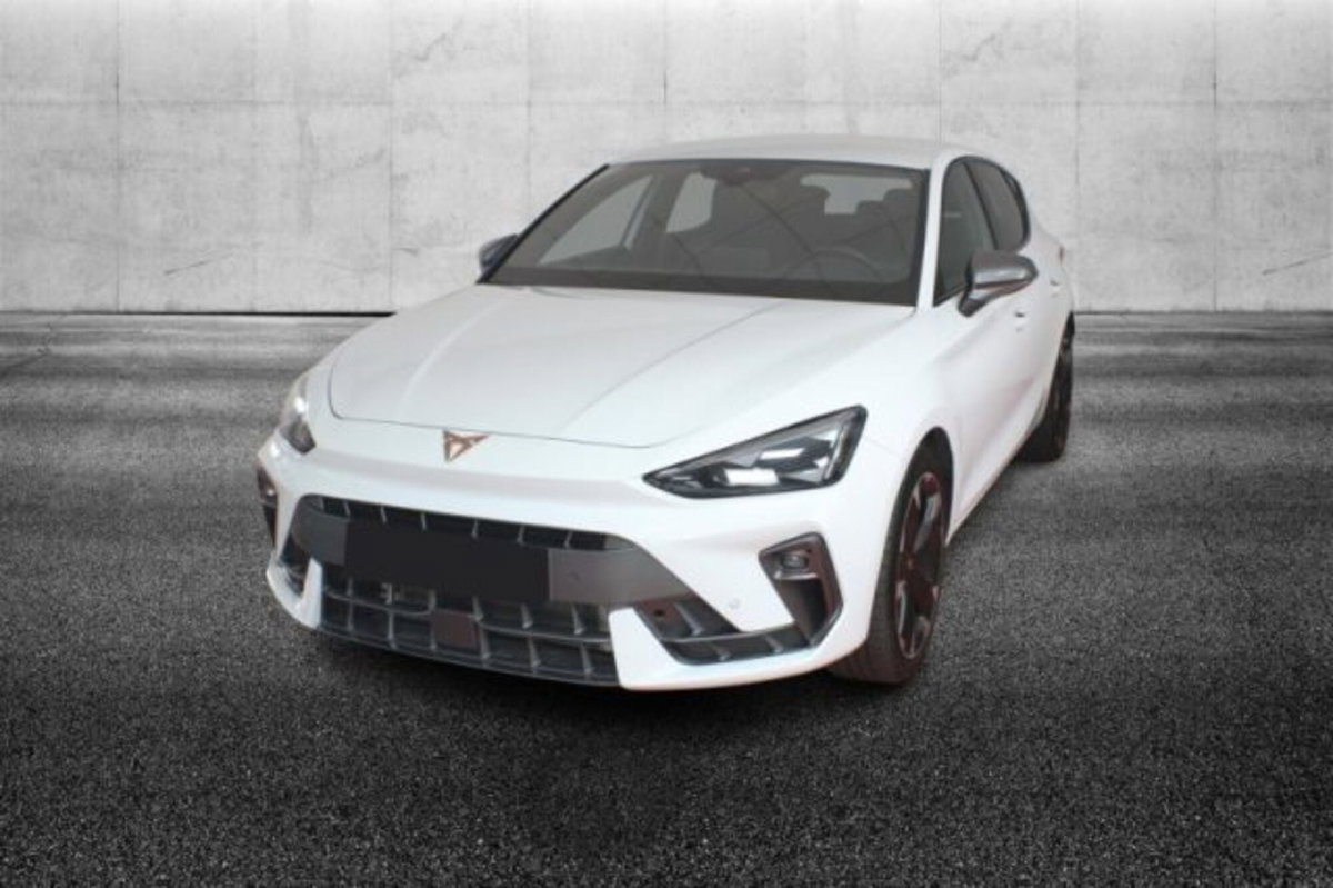 Cupra Leon Leon 2.0 tdi 150cv dsg (2)