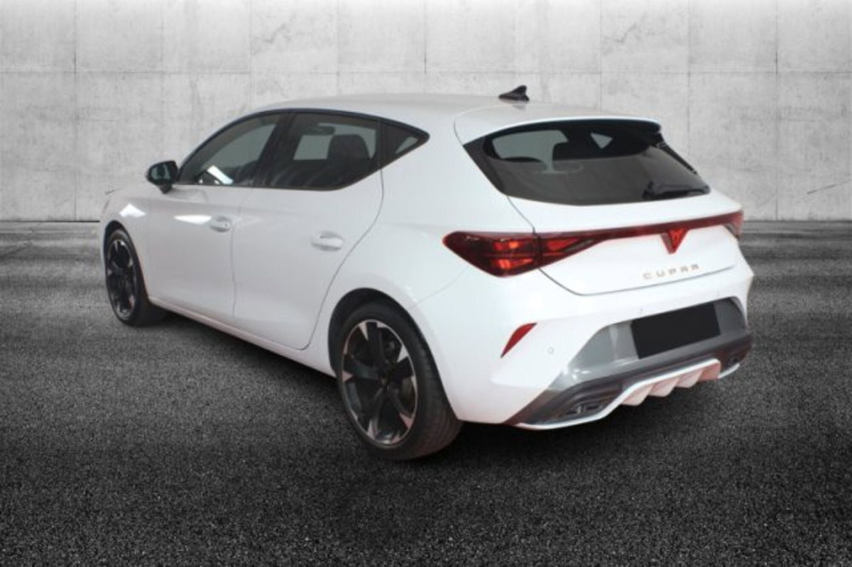 Cupra Leon Leon 2.0 tdi 150cv dsg (3)