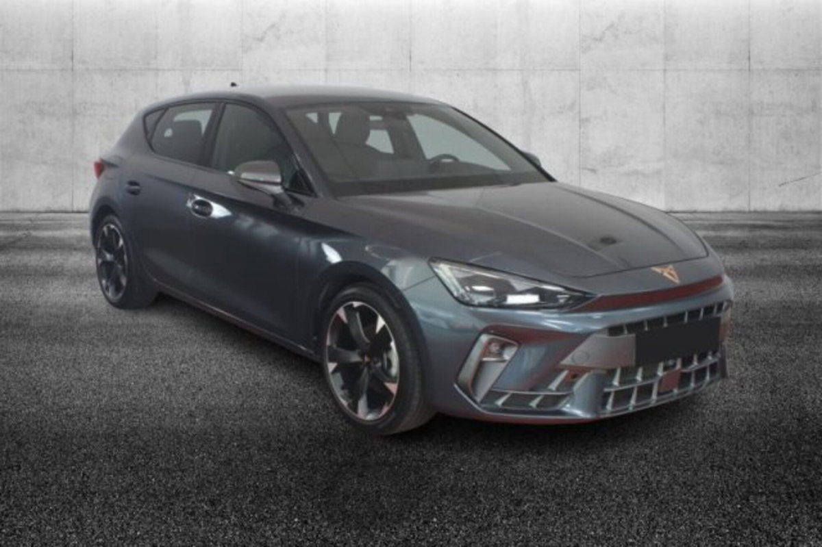 Cupra Leon Leon 2.0 tdi 150cv dsg (2)