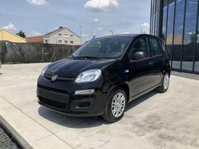 Fiat Panda 1.0 firefly hybrid s&s 70cv 5p.ti (3)