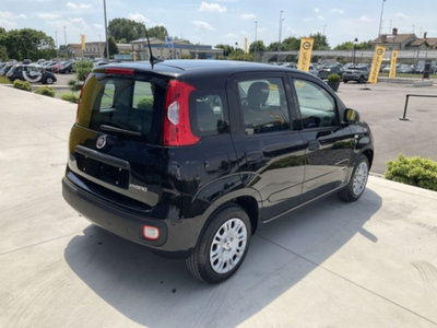 Fiat Panda 1.0 firefly hybrid s&s 70cv 5p.ti (6)