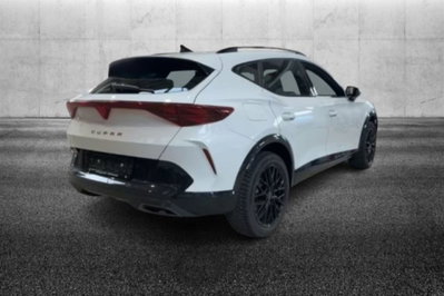Cupra Formentor 1.5 hybrid 150cv dsg (3)