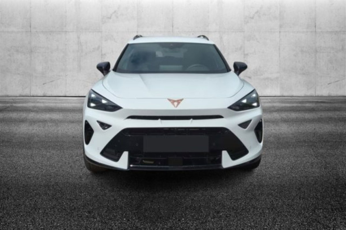 Cupra Formentor Formentor 2.0 TDI (5)