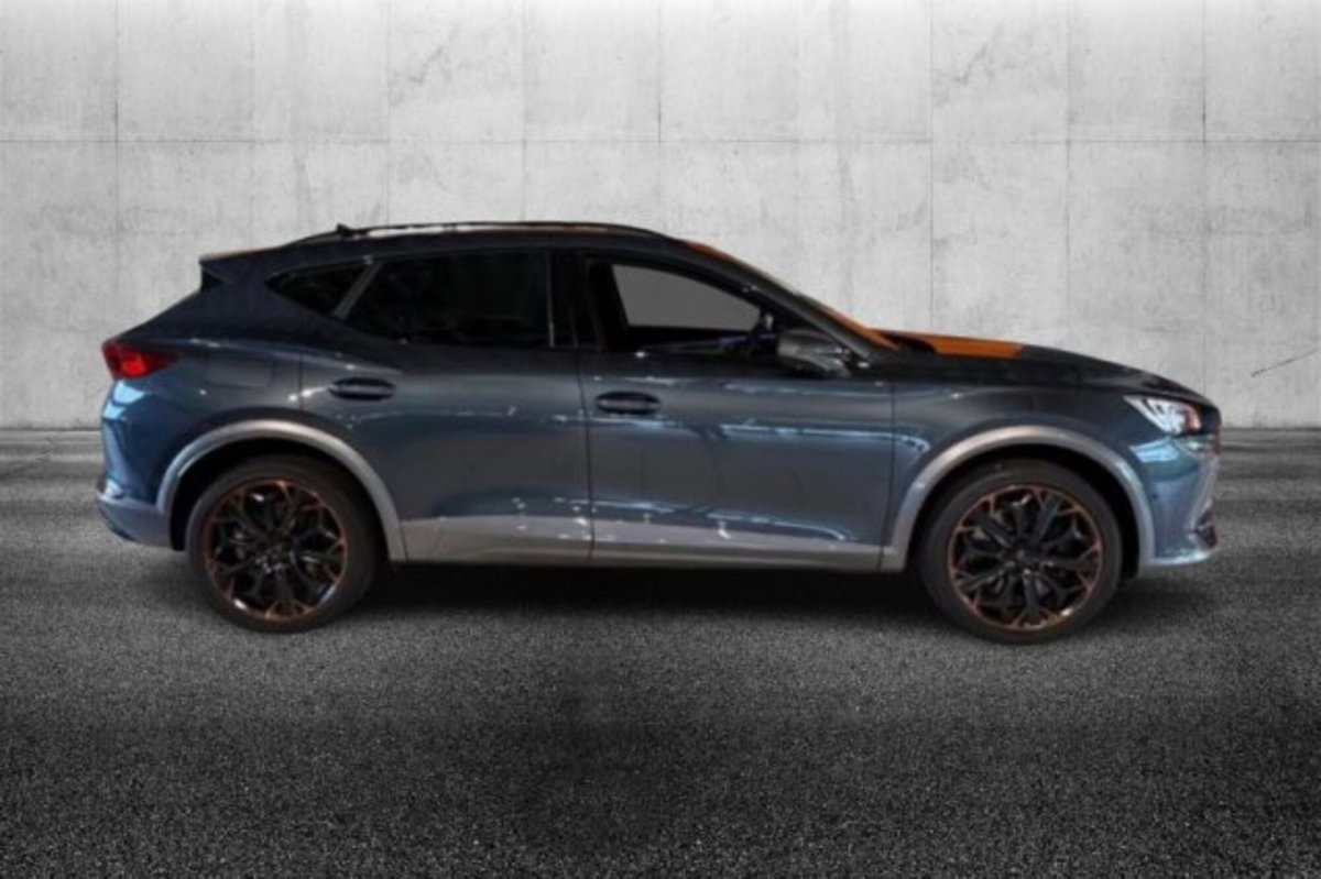 Cupra Formentor Formentor 2.0 TSI DSG VZ (3)