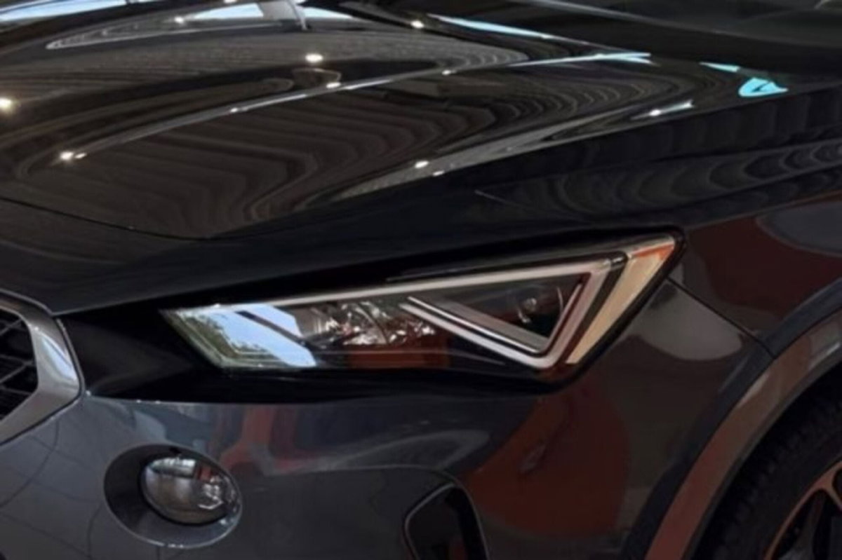 Cupra Formentor Formentor 2.0 TSI DSG VZ (7)