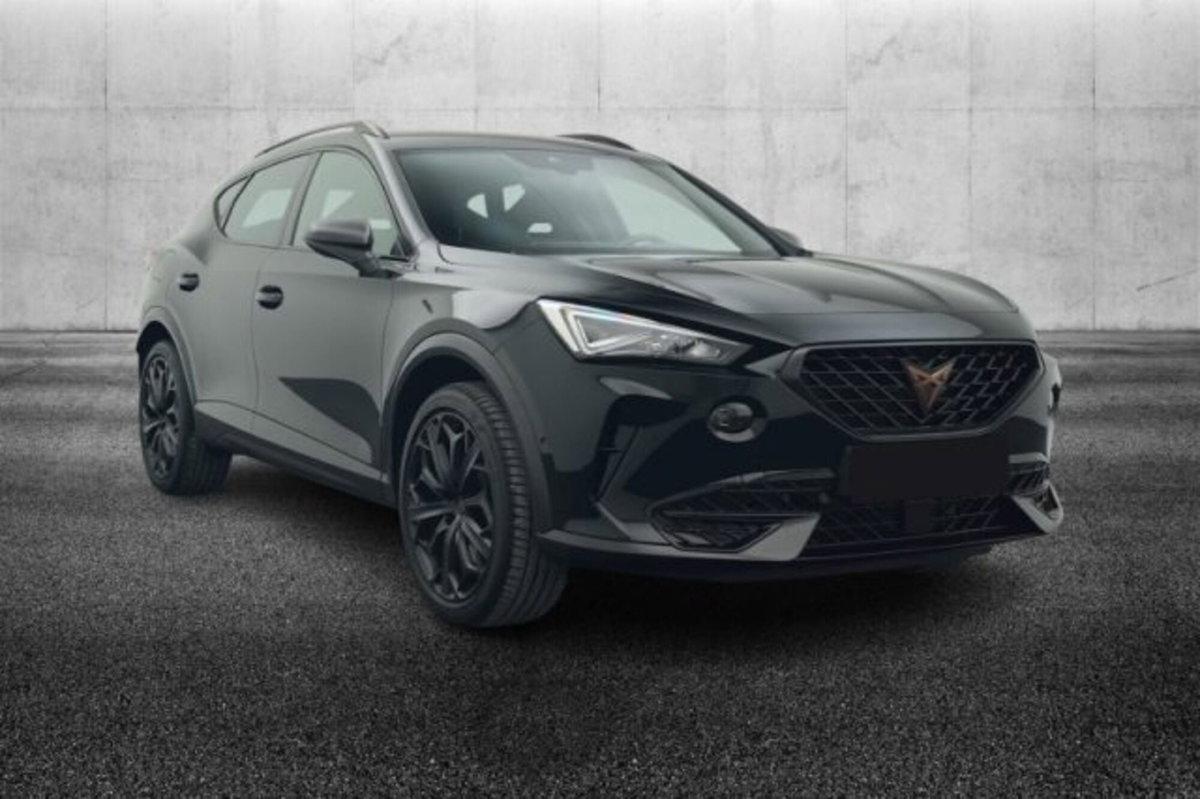 Cupra Formentor Formentor 1.4 e-hybrid Tribe Edition 204cv dsg (2)