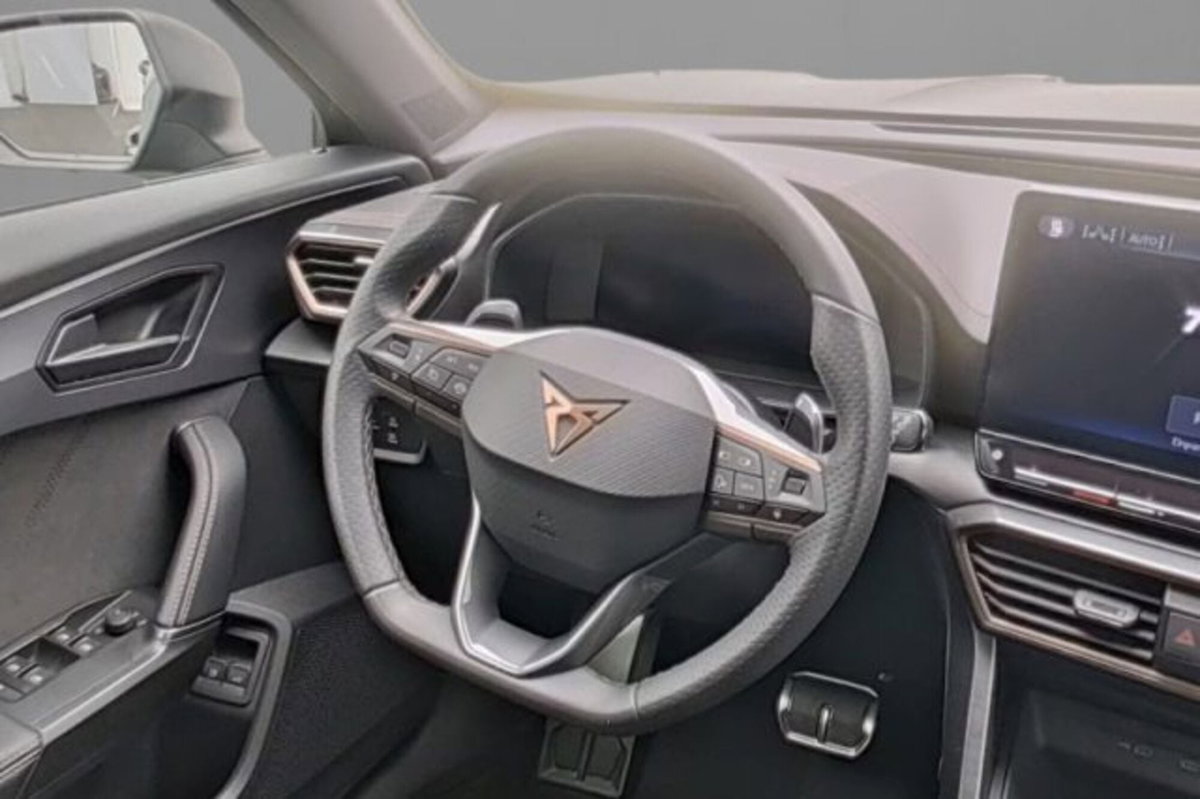Cupra Formentor Formentor 1.4 e-hybrid Tribe Edition 204cv dsg (7)
