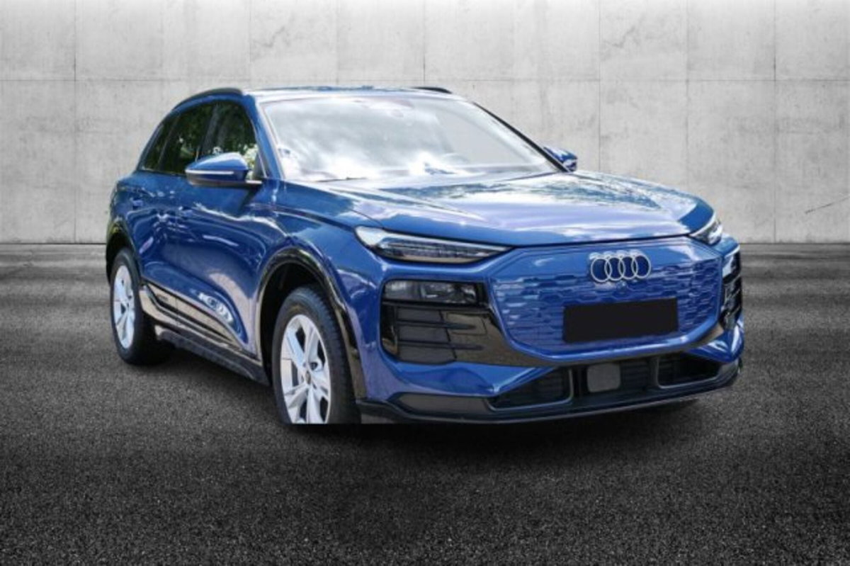 Audi Q6 Business Advanced 292cv (2)
