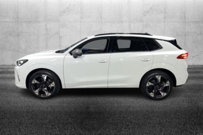 Cupra Terramar 2.0 tsi VZ 4drive 265cv dsg (3)