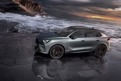 Cupra Terramar 1.5 hybrid 150cv dsg (5)