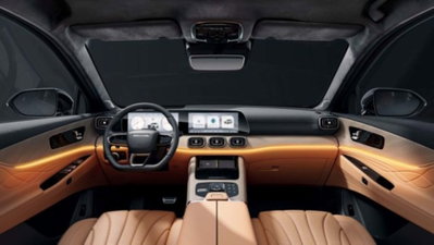 Jaecoo Jaecoo 8 SHS-P 1.5 tgdi phev Exclusive awd auto (8)
