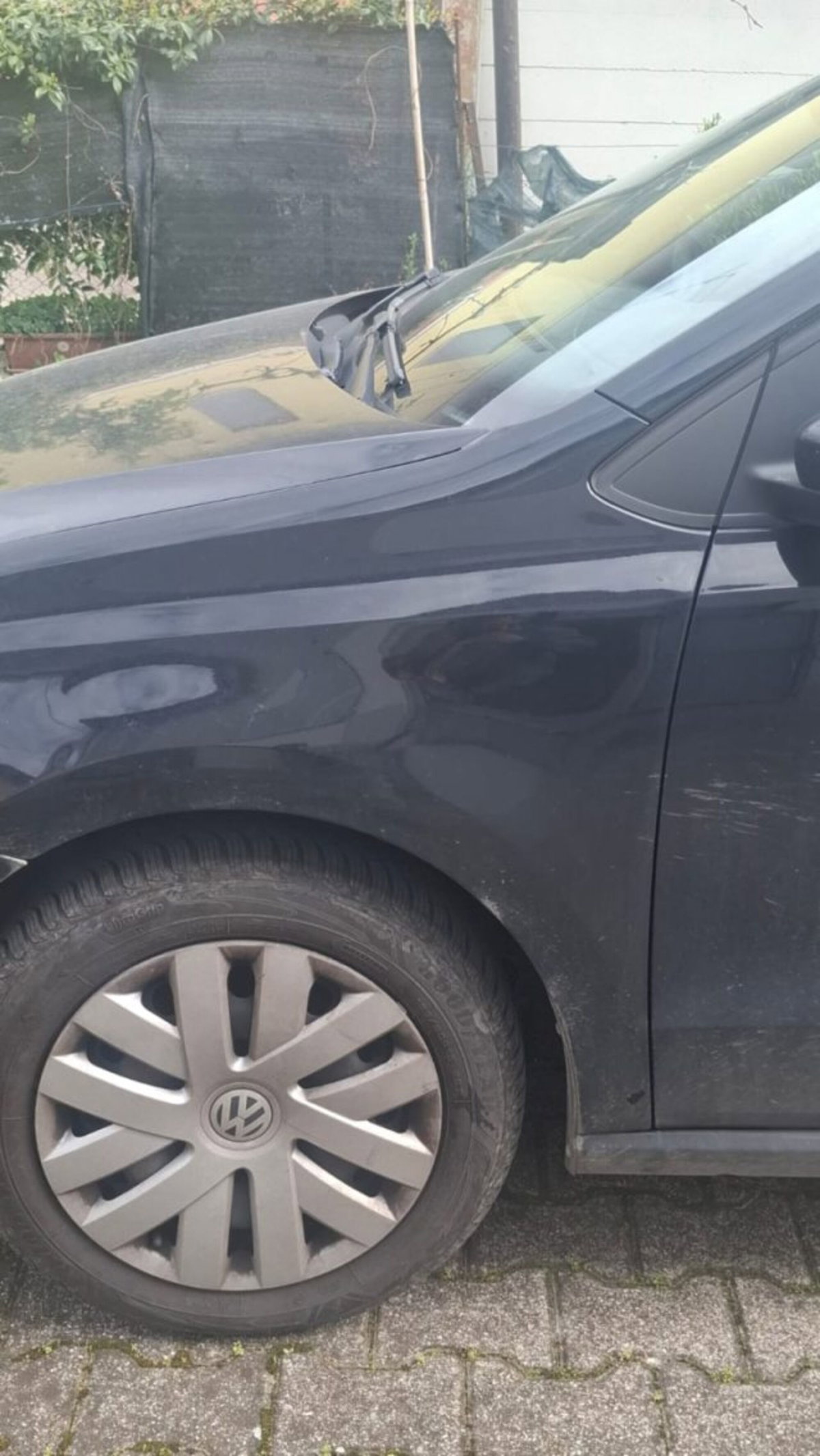 Volkswagen Polo 1.2 TDI DPF 5 p. Comfortline (4)