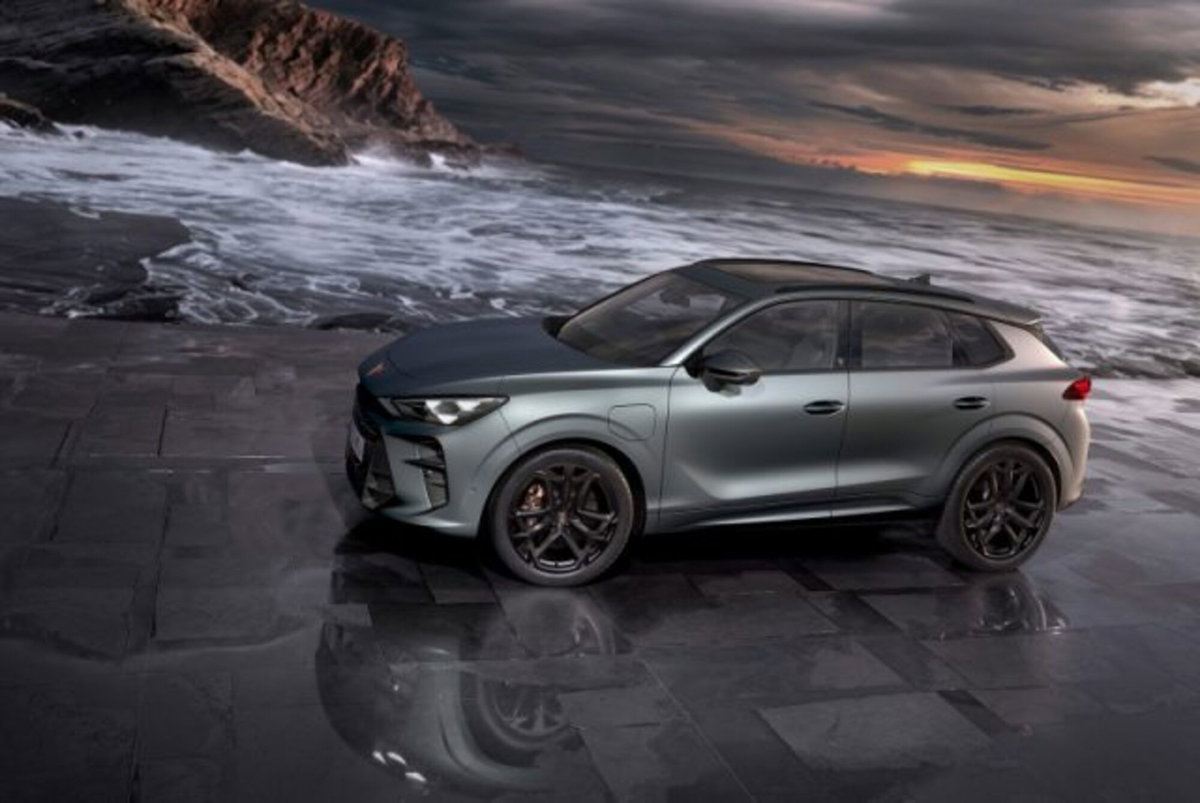 Cupra Terramar 1.5 hybrid Business 150cv dsg (5)