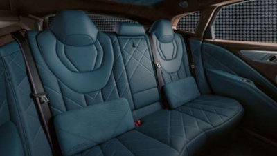 BMW XM 4.4 phev Label auto (8)