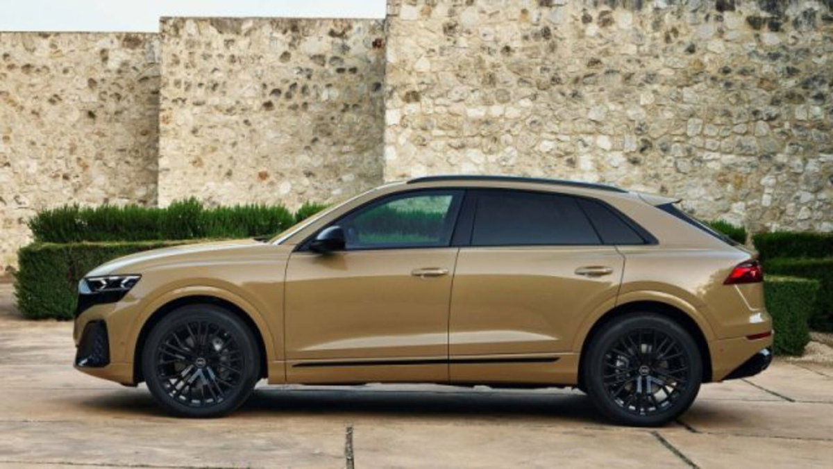 Audi Q8 3.0 tfsi mhev S line quattro 340cv tiptronic (6)
