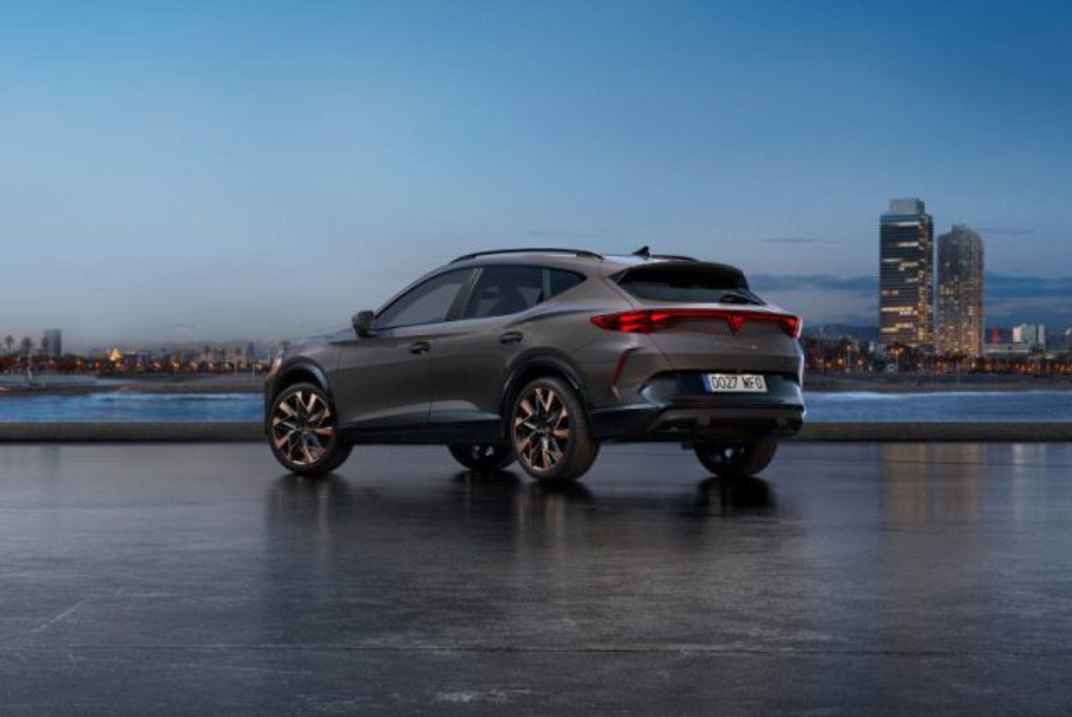 Cupra Formentor 2.0 tdi Tribe Edition 150cv dsg (6)