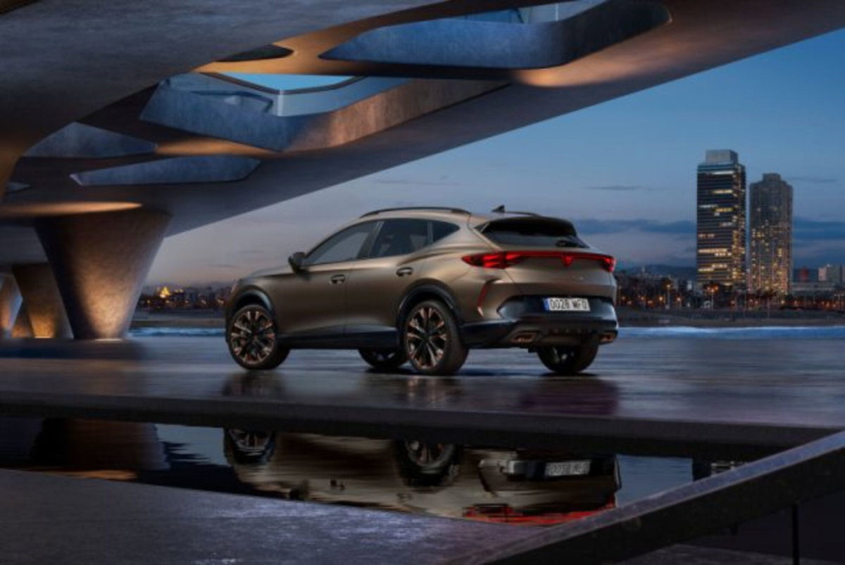 Cupra Formentor 2.0 tdi Tribe Edition 150cv dsg (7)