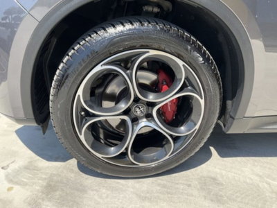 Alfa Romeo Stelvio Stelvio 2.2 Turbodiesel 190 CV AT8 Q4 B-Tech (8)