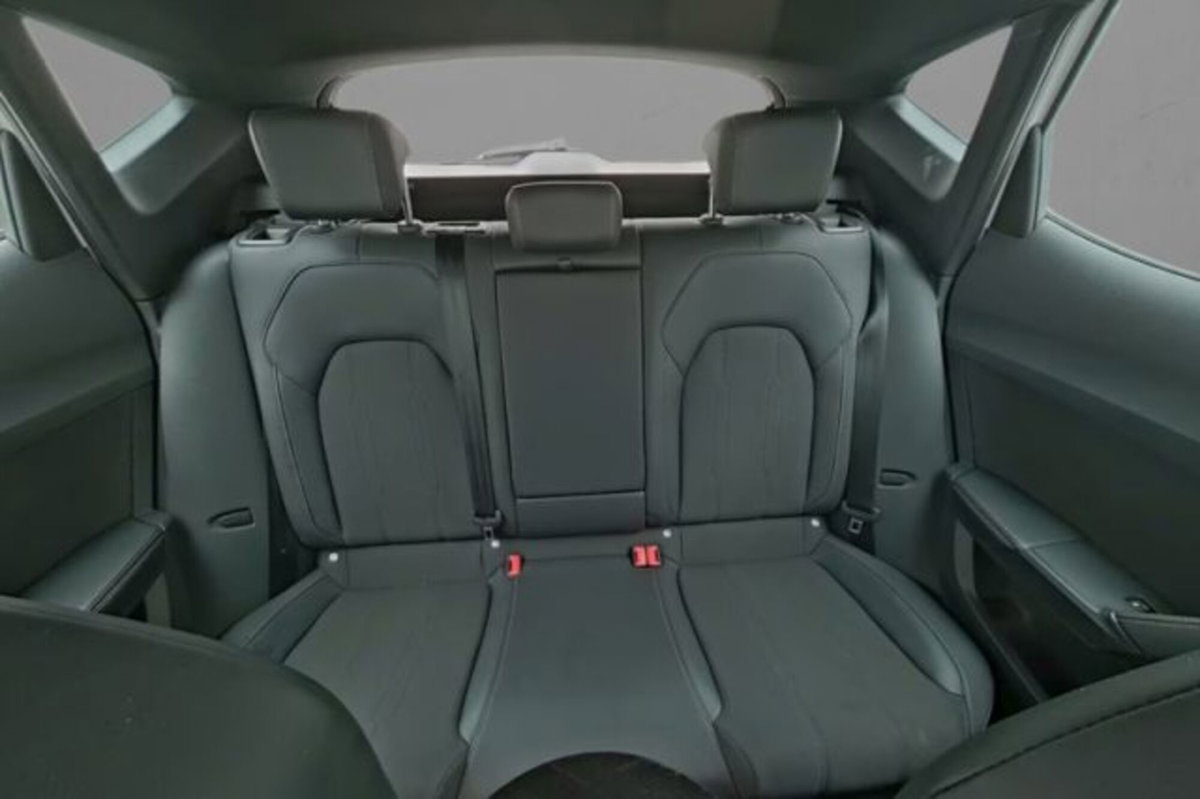 Cupra Formentor Formentor 2.0 TDI (8)