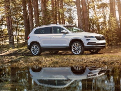 Skoda Karoq 2.0 tdi Selection 150cv dsg (2)
