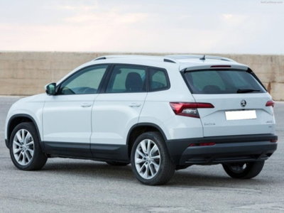 Skoda Karoq 2.0 tdi Selection 150cv dsg (5)