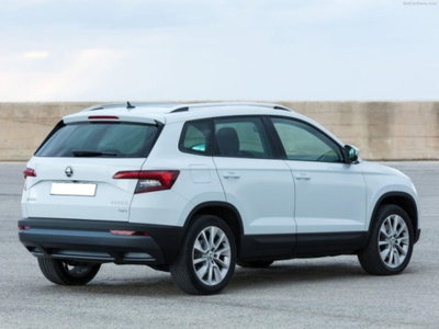 Skoda Karoq 2.0 tdi Selection 150cv dsg (6)