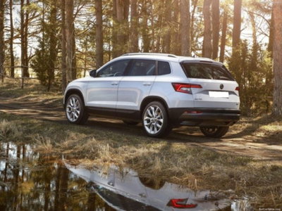 Skoda Karoq 2.0 tdi Selection 150cv dsg (8)