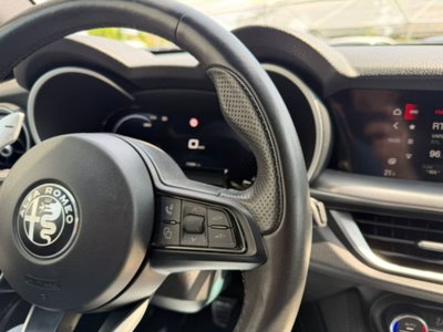 Alfa Romeo Stelvio Stelvio 2.2 Turbodiesel 210 CV AT8 Q4 Veloce (11)