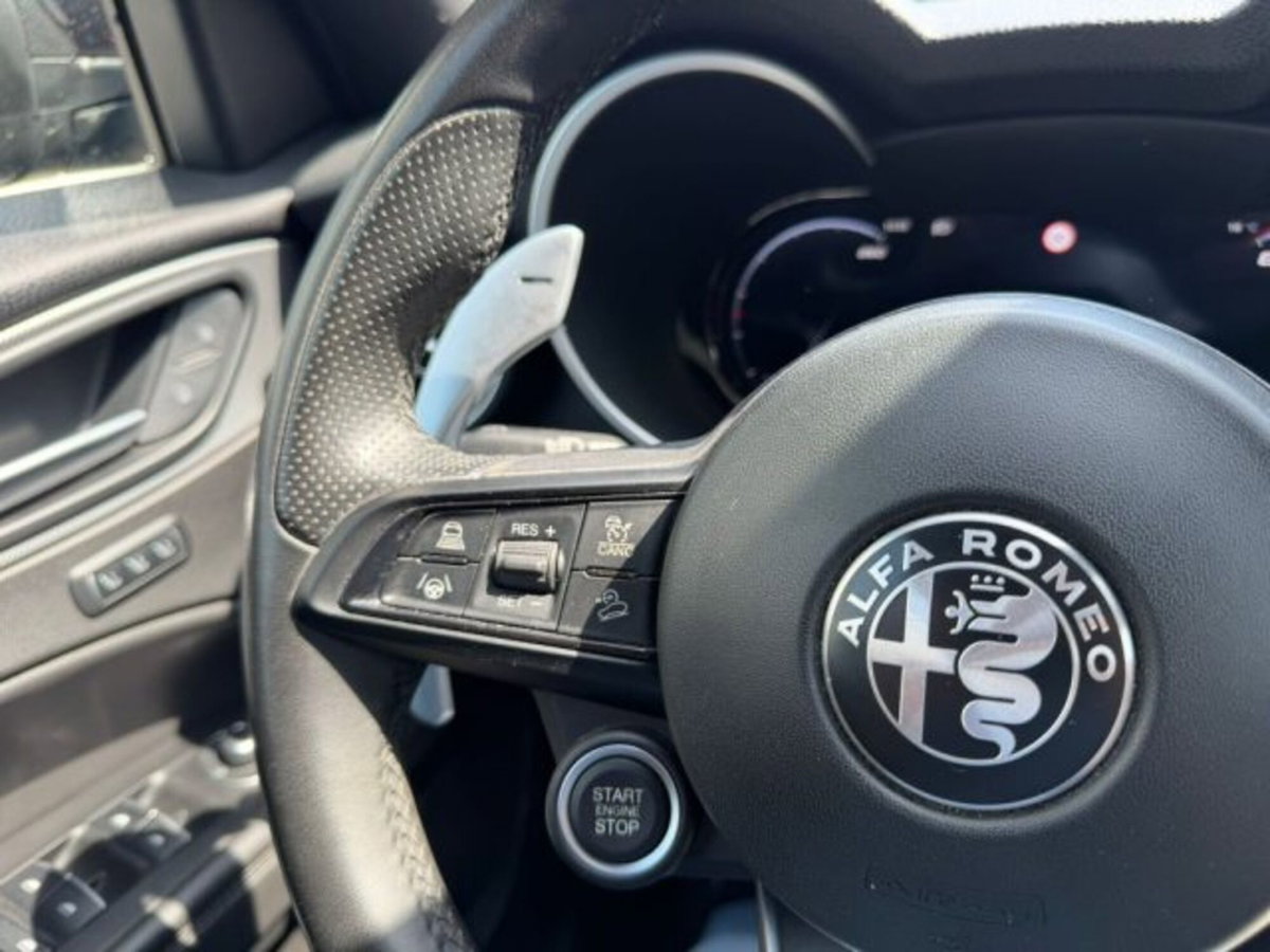 Alfa Romeo Stelvio Stelvio 2.2 Turbodiesel 210 CV AT8 Q4 Veloce (15)