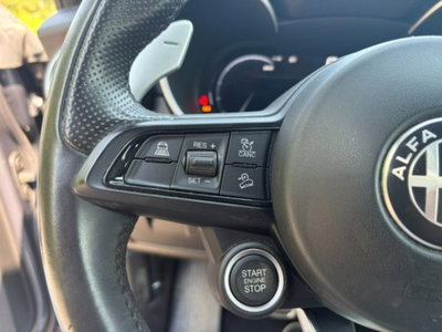 Alfa Romeo Stelvio Stelvio 2.2 Turbodiesel 210 CV AT8 Q4 Veloce (14)