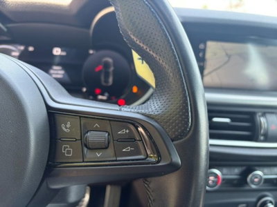 Alfa Romeo Stelvio Stelvio 2.2 Turbodiesel 210 CV AT8 Q4 Veloce (16)